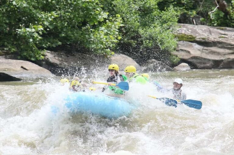 West Virginia: Lower New River Full-Day Rafting Adventure - The Sum Up