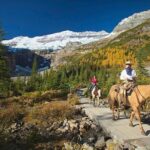 Western Trails - One Way Vancouver To Calgary Rockies Bus Tour - Day-by-Day Breakdown