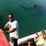Whale Shark from Cancun, Riviera Maya and Tulum All Inclusive - Pricing and Value