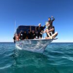 Whale Shark Snorkeling Experience from Cancun and Riviera Maya - The Bottom Line