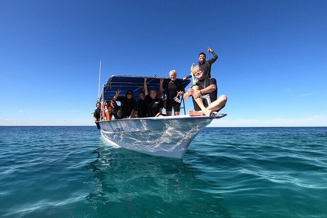 Whale Shark Snorkeling Experience from Cancun and Riviera Maya - The Bottom Line