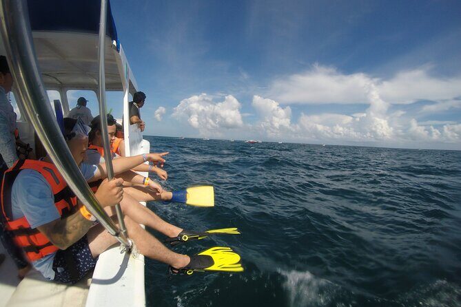 Whale Shark Tour Isla Mujeres - Practical Tips for Potential Participants
