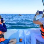 Whale Tour c/ Certified Guide, Photos & Hydrophone - What Real Travelers Say