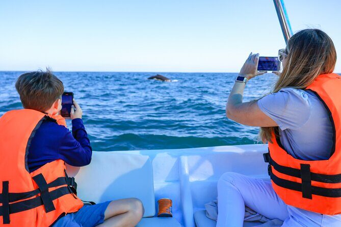 Whale Tour c/ Certified Guide, Photos & Hydrophone - What Real Travelers Say