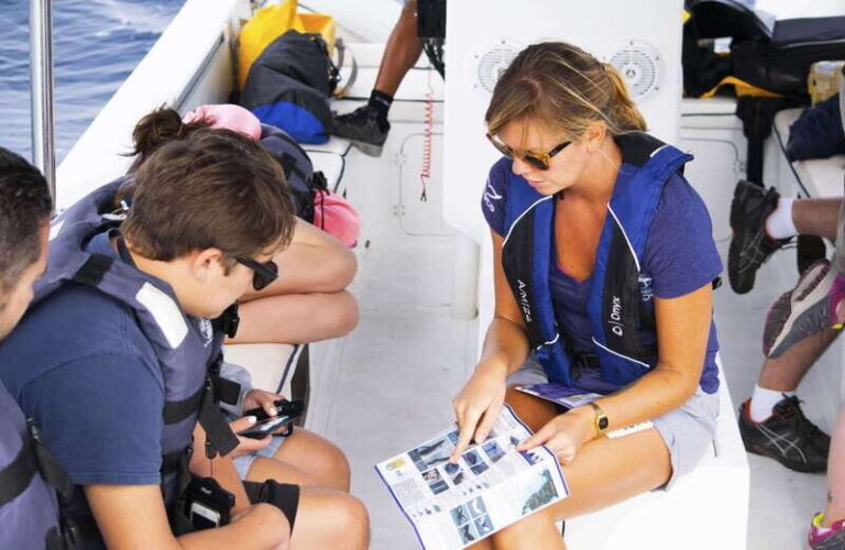 Whale Watch Cabo: Zodiac Whale Adventure - FREE Photos - The Value of the Experience