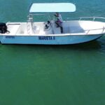 Whale watching - Final Thoughts: Is This Tour Right for You?