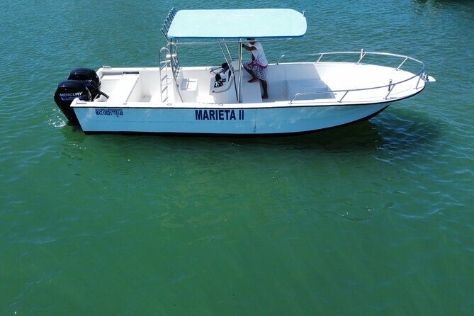 Whale watching - Final Thoughts: Is This Tour Right for You?