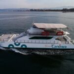 Whale Watching Adventure In Puerto Vallarta - Why the Price Is Justified