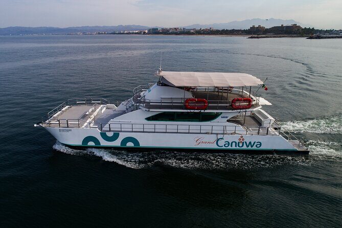 Whale Watching Adventure In Puerto Vallarta - Why the Price Is Justified