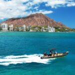 Whale Watching Adventure -Speed Boat & Small Group - Who Should Book This Tour?