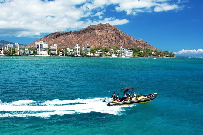 Whale Watching Adventure -Speed Boat & Small Group - Who Should Book This Tour?