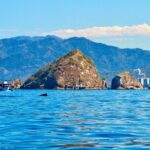 Whale Watching and Los Arcos 5 Islands Adventure - Practical Aspects for Travelers