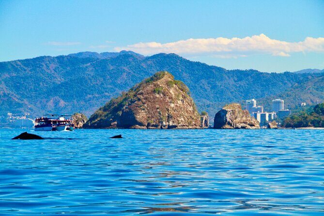 Whale Watching and Los Arcos 5 Islands Adventure - Practical Aspects for Travelers