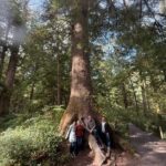 Whale Watching Depoe Bay Cannon Beach And Tillamook - Final Thoughts