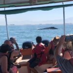 Whale Watching Experience  4 Hours in Puerto Vallarta - Who Is This Tour Best For?