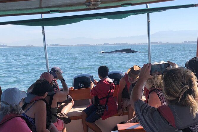 Whale Watching Experience  4 Hours in Puerto Vallarta - Who Is This Tour Best For?