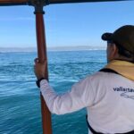 Whale Watching Experience in Puerto Vallarta - Who Will Love This Tour?
