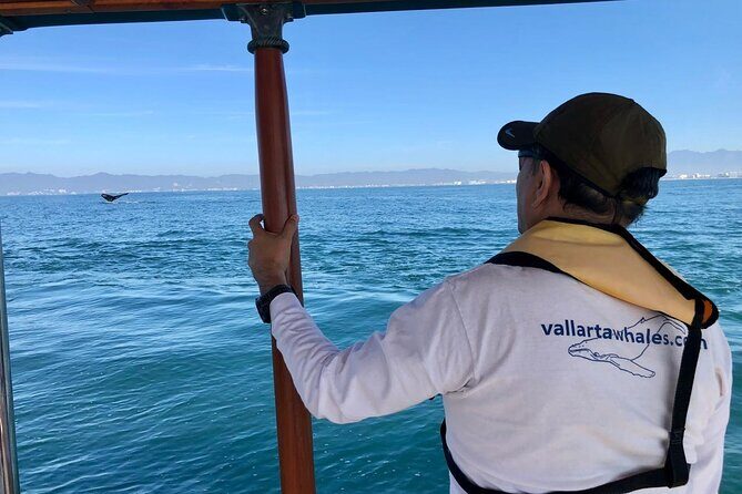 Whale Watching Experience in Puerto Vallarta - Who Will Love This Tour?
