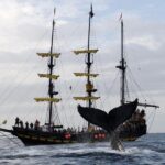 Whale-Watching Pirate Ship Cruise in Los Cabos - The Crew and Guides: Knowledgeable and Fun