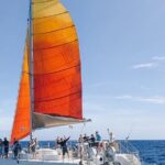 Whale Watching Sail in Honolulu with Open Bar - The Itinerary and How It Feels in Practice