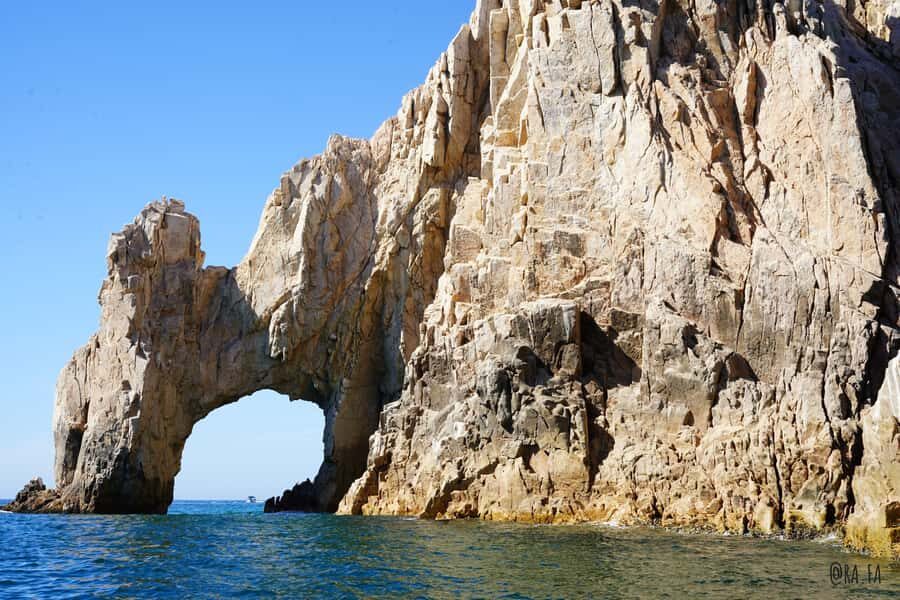 Whale watching, snorkeling, lunch, and drinks in Cabo San Lucas - Why This Tour Offers Good Value