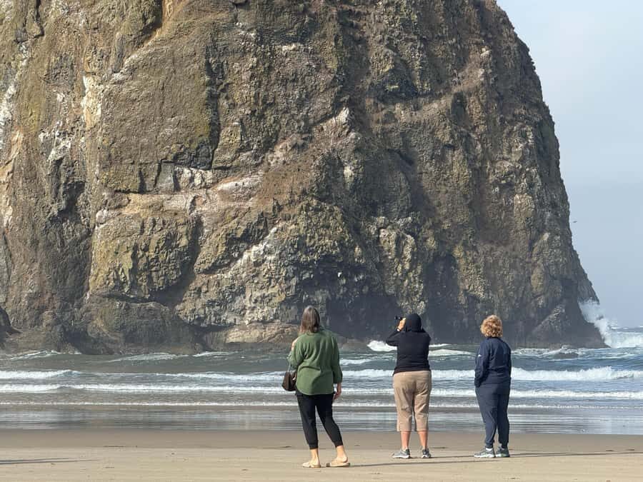 Whale Watching Tour to Depoe Bay, Cannon Beach & Tillamook - Transportation, Timing & Group Experience
