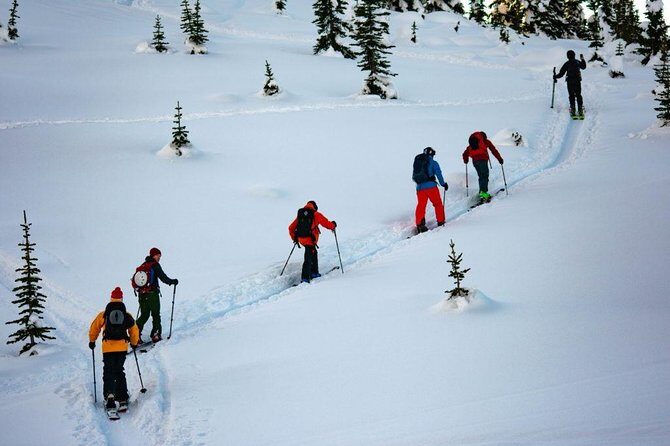Whistler Backcountry Skiing and Splitboarding - Who Is This Tour For?