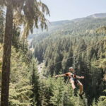Whistler Zipline Experience: Ziptrek Bear Tour - Authentic Feedback from Participants