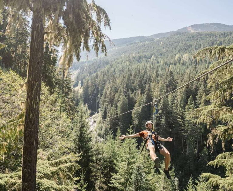 Whistler Zipline Experience: Ziptrek Bear Tour - Authentic Feedback from Participants