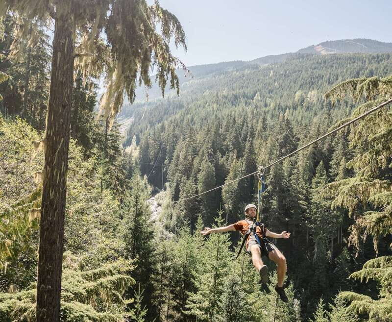 Whistler Zipline Experience: Ziptrek Bear Tour - Authentic Feedback from Participants