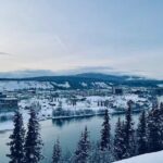 Whitehorse 3 Day Aurora Tour Wildlife Preserve and Hot Springs - In-Depth Breakdown of the Itinerary