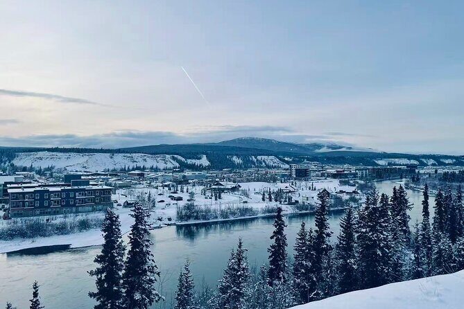 Whitehorse 3 Day Aurora Tour Wildlife Preserve and Hot Springs - In-Depth Breakdown of the Itinerary
