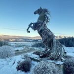 Whitehorse 4 Day Aurora Tour Wildlife Preserve and Hot Springs - The Experiences: What Makes This Tour Stand Out?