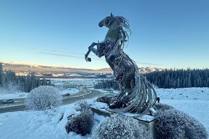 Whitehorse 4 Day Aurora Tour Wildlife Preserve and Hot Springs - The Experiences: What Makes This Tour Stand Out?