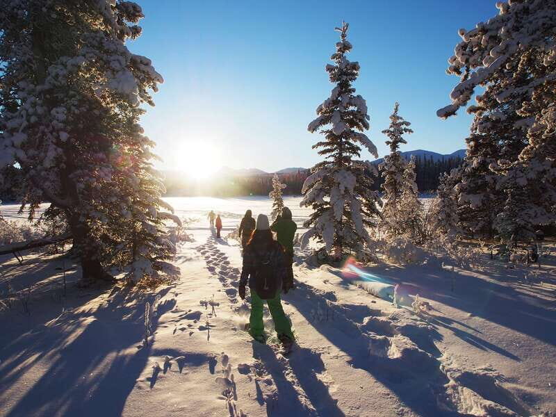 Whitehorse: Half-Day Snowshoeing Tour - Who Will Love This Tour?