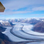 Whitehorse: Kluane - Wildlife & Vistas - The Value of the Tour