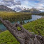 Whitehorse : Takhini Guided Half Day Paddle Adventure - Meeting Point and Logistics