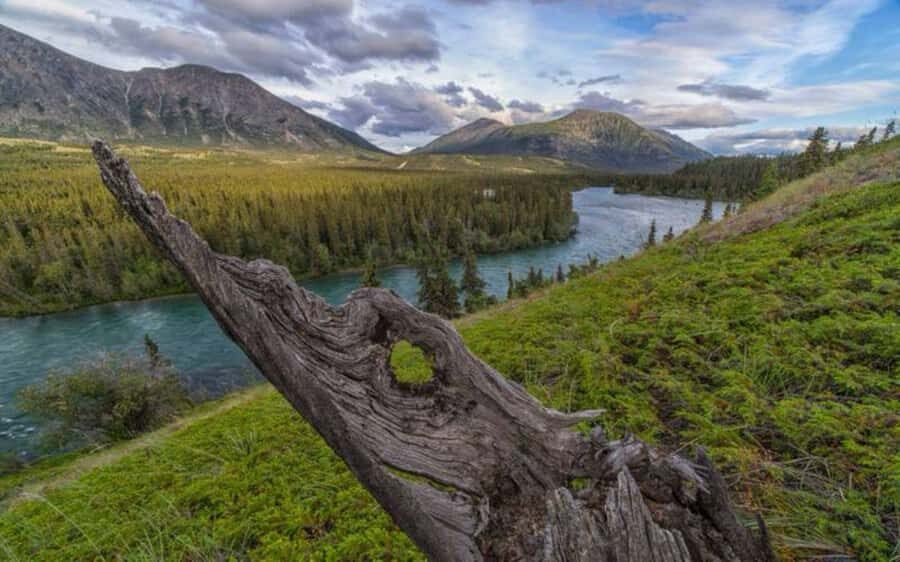 Whitehorse : Takhini Guided Half Day Paddle Adventure - Meeting Point and Logistics