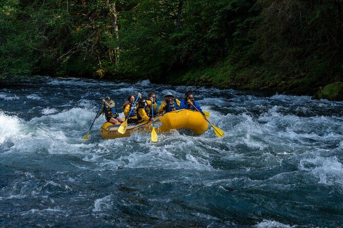 Whitewater Rafting on The McKenzie River - Final Thoughts: Who Should Book This Tour?