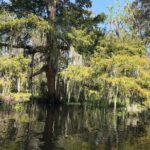 Whitney Plantation and Manchac Swamp Kayak Tour Combo - Visiting Whitney Plantation: A Different Perspective