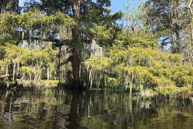 Whitney Plantation and Manchac Swamp Kayak Tour Combo - Visiting Whitney Plantation: A Different Perspective