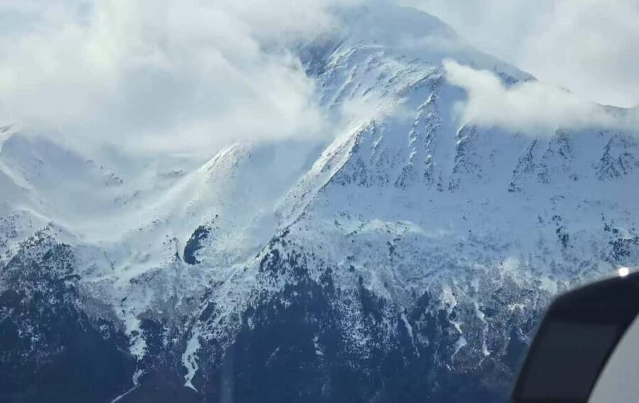 Whittier Cruise Shuttle Tour with Multiple Stops - Who Will Love This Tour?