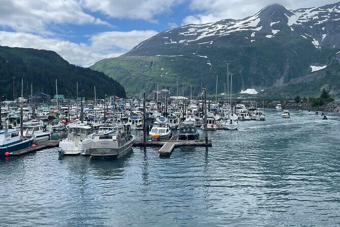 Whittier Drive and Coastal Alaska Full Day Adventure - Final Thoughts