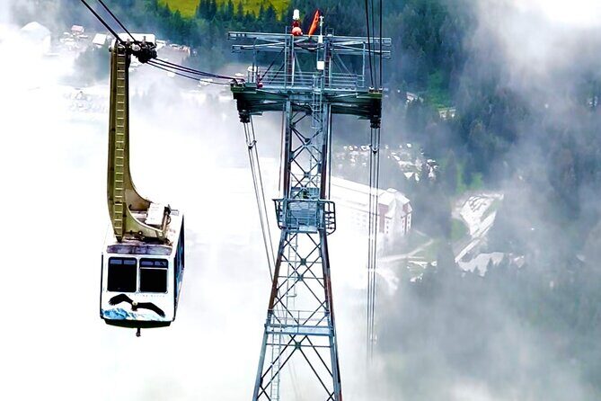 Whittier to Anchorage Cruise Transfer Wildlife Center and Tram - About the Guides and Reviews