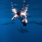 Wild Dolphin Swim, Turtle, Whale Safari with Guided Snorkeling - The Value of a Truly Personalized Ocean Voyage