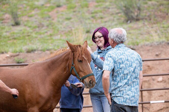 Wild Mustang Experience Near Colorado Springs - What Do Travelers Say?