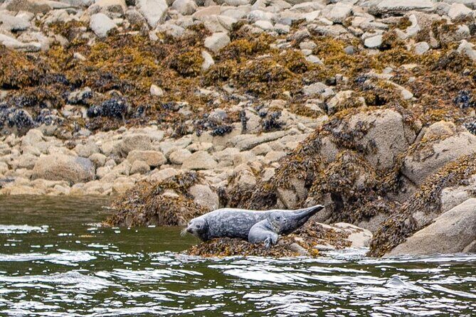 Wildlife and Scenery in Ketchikan - Cultural Sights and Land Animals