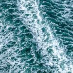 Wildlife Boat Cruise: Port Townsend, WA - Why This Tour Is Worth It