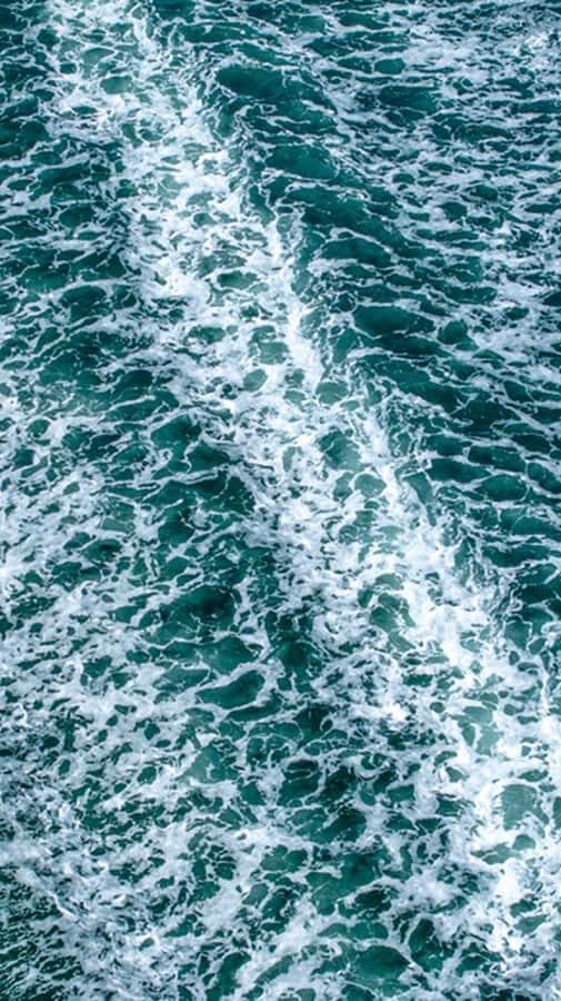 Wildlife Boat Cruise: Port Townsend, WA - Why This Tour Is Worth It