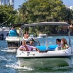 Wildlife Boat Tour & Racoon Island - The Experience Breakdown: What You Can Expect